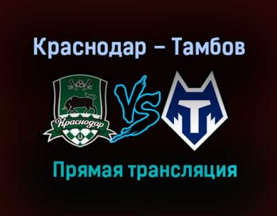 Краснодар – Тамбов прямая трансляция 21 ноября 2020 года