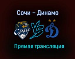 Сочи – Динамо прямая трансляция 16 декабря 2020 года