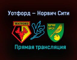Уотфорд — Норвич Сити прямая трансляция 26 декабря 2020 года