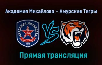 Академия Михайлова – Амурские Тигры прямая трансляция 28 января 2021 года