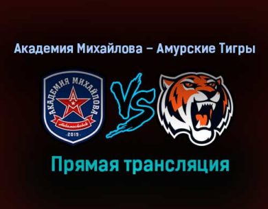 Академия Михайлова – Амурские Тигры прямая трансляция 28 января 2021 года