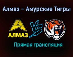 Алмаз – Амурские Тигры прямая трансляция 20 января 2021 года