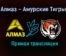Алмаз – Амурские Тигры прямая трансляция 20 января 2021 года