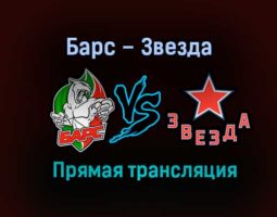Барс – Звезда прямая трансляция 21 января 2021 года