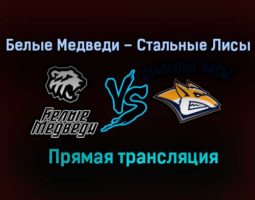 Белые Медведи – Стальные Лисы прямая трансляция 16 января 2021 года