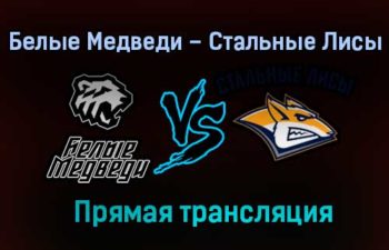 Белые Медведи – Стальные Лисы прямая трансляция 16 января 2021 года