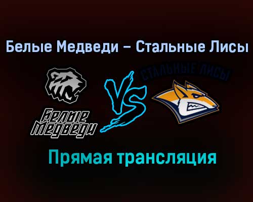 Белые Медведи – Стальные Лисы прямая трансляция 16 января 2021 года Белые Медведи – Стальные Лисы прямая трансляция 16 января 2021 года