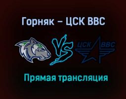 Горняк – ЦСК ВВС прямая трансляция 31 января 2021 года