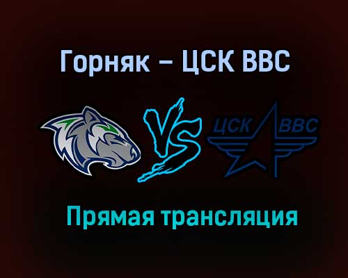 Горняк – ЦСК ВВС прямая трансляция 31 января 2021 года Горняк – ЦСК ВВС прямая трансляция 31 января 2021 года