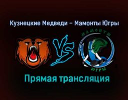 Кузнецкие Медведи – Мамонты Югры прямая трансляция 1 февраля 2021 года