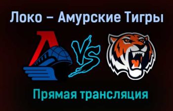 Локо – Амурские Тигры прямая трансляция 23 января 2021 года
