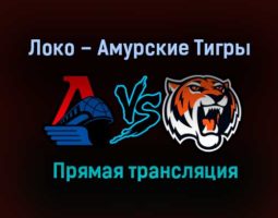 Локо – Амурские Тигры прямая трансляция 24 января 2021 года