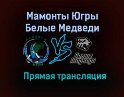 Мамонты Югры – Белые Медведи прямая трансляция 23 января 2021 года