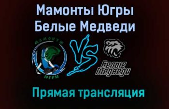Мамонты Югры – Белые Медведи прямая трансляция 23 января 2021 года