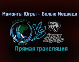 Мамонты Югры – Белые Медведи прямая трансляция 24 января 2021 года