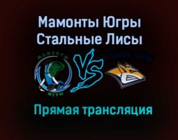 Мамонты Югры – Стальные Лисы прямая трансляция 20 января 2021 года