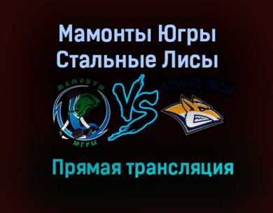 Мамонты Югры – Стальные Лисы прямая трансляция 20 января 2021 года