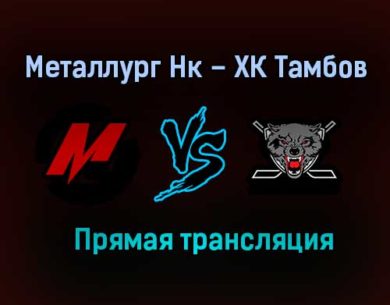 Металлург Нк – ХК Тамбов прямая трансляция 28 января 2021 года