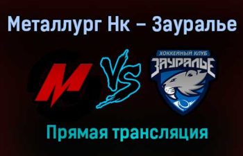 Металлург Нк – Зауралье прямая трансляция 20 января 2021 года