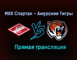 МХК Спартак – Амурские Тигры прямая трансляция 1 февраля 2021 года