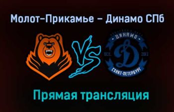 Молот-Прикамье – Динамо СПб прямая трансляция 21 января 2021 года