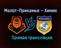 Молот-Прикамье – Химик В прямая трансляция 17 января 2021 года