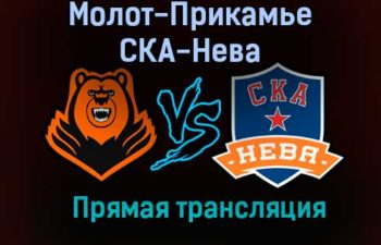 Молот-Прикамье – СКА-Нева прямая трансляция 23 января 2021 года