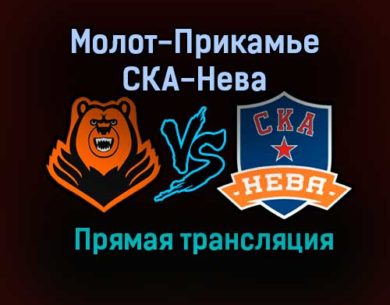 Молот-Прикамье – СКА-Нева прямая трансляция 23 января 2021 года