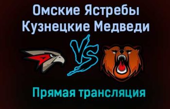 Омские Ястребы – Кузнецкие Медведи прямая трансляция 22 января 2021 года