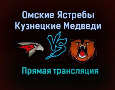 Омские Ястребы – Кузнецкие Медведи прямая трансляция 22 января 2021 года