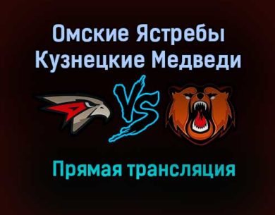 Омские Ястребы – Кузнецкие Медведи прямая трансляция 23 января 2021 года