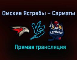 Омские Ястребы – Сарматы прямая трансляция 29 января 2021 года
