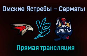 Омские Ястребы – Сарматы прямая трансляция 29 января 2021 года