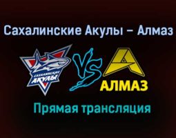 Сахалинские Акулы – Алмаз прямая трансляция 28 января 2021 года