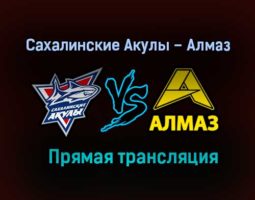 Сахалинские Акулы – Алмаз прямая трансляция 29 января 2021 года