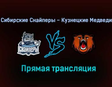 Сибирские Снайперы – Кузнецкие Медведи прямая трансляция 29 января 2021 года