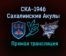 СКА-1946 – Сахалинские Акулы прямая трансляция 23 января 2021 года