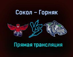 Сокол – Горняк прямая трансляция 20 января 2021 года