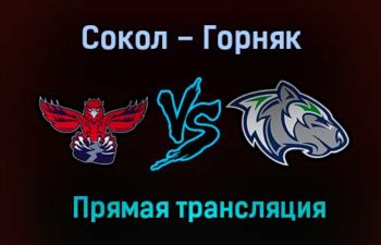 Сокол – Горняк прямая трансляция 20 января 2021 года