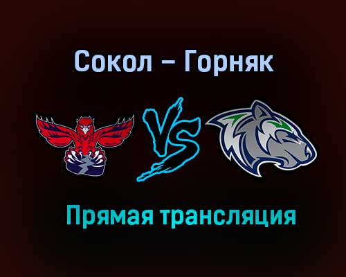 Сокол – Горняк прямая трансляция 20 января 2021 года Сокол – Горняк прямая трансляция 20 января 2021 года