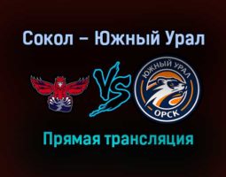 Сокол – Южный Урал прямая трансляция 18 января 2021 года