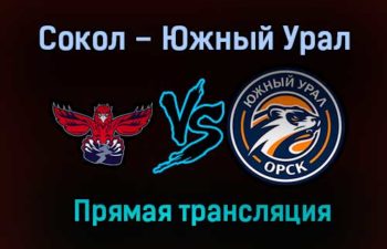Сокол – Южный Урал прямая трансляция 18 января 2021 года