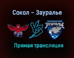 Сокол – Зауралье прямая трансляция 22 января 2021 года