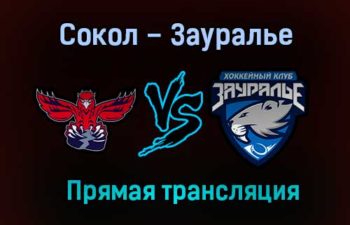 Сокол – Зауралье прямая трансляция 22 января 2021 года