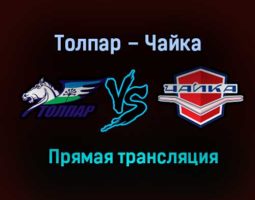 Толпар – Чайка прямая трансляция 22 января 2021 года