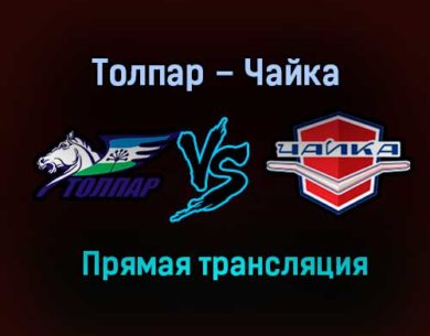 Толпар – Чайка прямая трансляция 22 января 2021 года