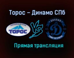 Торос – Динамо СПб прямая трансляция 23 января 2021 года