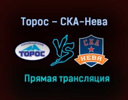 Торос – СКА-Нева прямая трансляция 21 января 2021 года