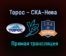 Торос – СКА-Нева прямая трансляция 21 января 2021 года