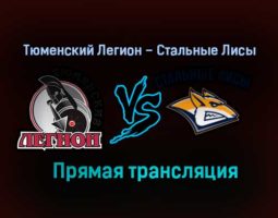 Тюменский Легион – Стальные Лисы прямая трансляция 24 января 2021 года